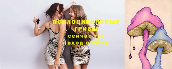 ГАЛЛЮЦИНОГЕННЫЕ ГРИБЫ Алексеевка