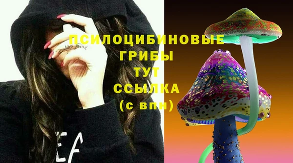 ГАЛЛЮЦИНОГЕННЫЕ ГРИБЫ Алексеевка
