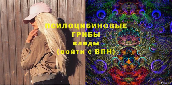 ешки Алексин