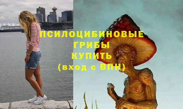 jwh Абаза