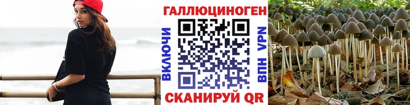 купить наркотик  Кремёнки  площадка телеграм  Псилоцибиновые грибы мухоморы 